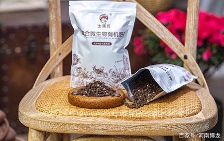 新手養花需要注意什么