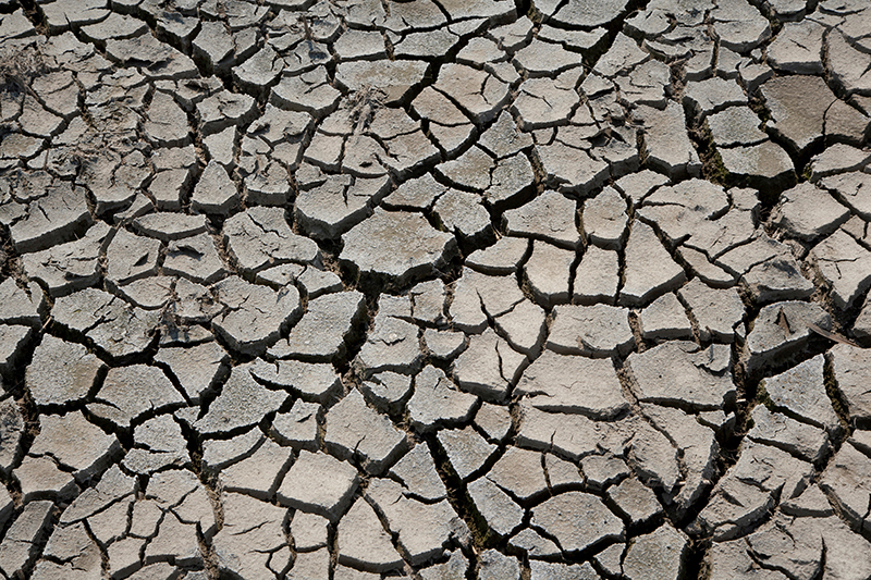 1613791163101511.jpg 新聞4-3.jpg